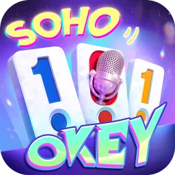 سوهو 101